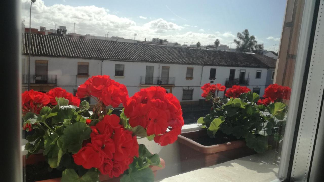 Hotel Abadi Córdoba Exteriör bild