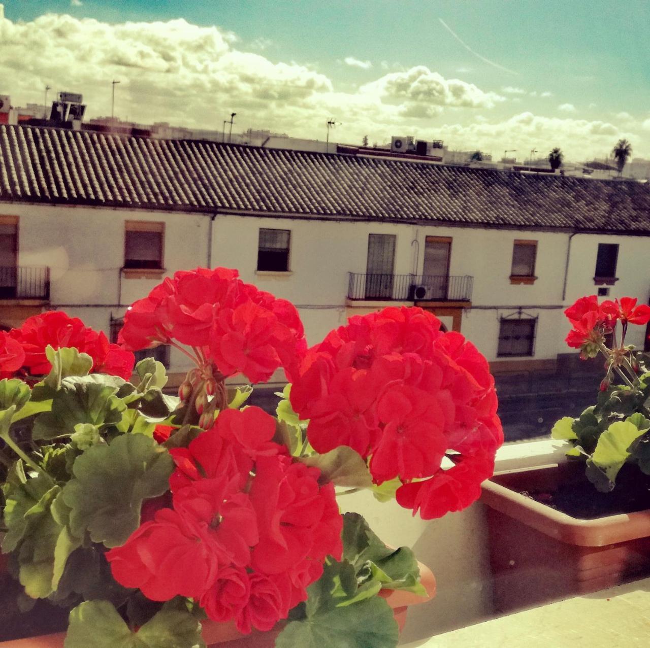 Hotel Abadi Córdoba Exteriör bild